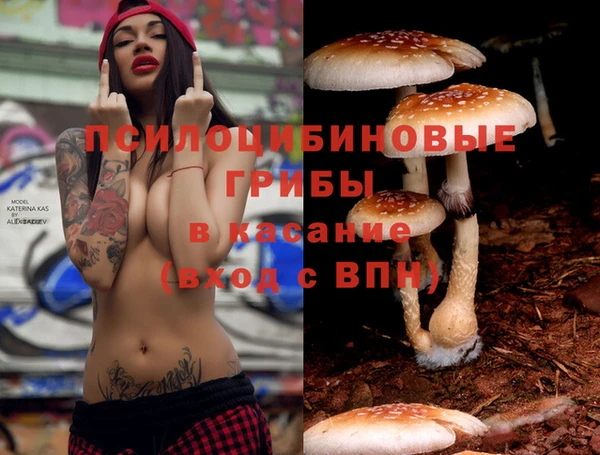 герыч Верхний Тагил