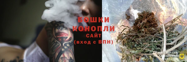 шишки Волоколамск