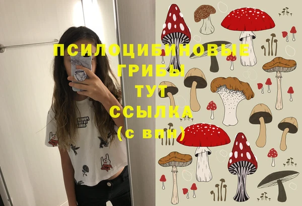 герыч Верхний Тагил