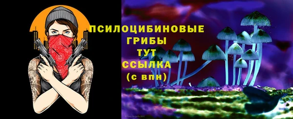 индика Верхнеуральск