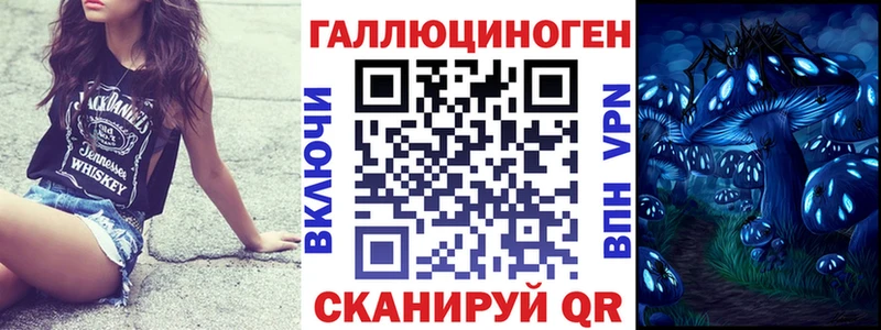 Купить  Вязники  Галлюциногенные грибы Psilocybe 